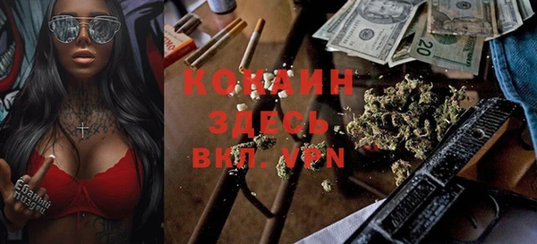 мяу мяу мука Пересвет