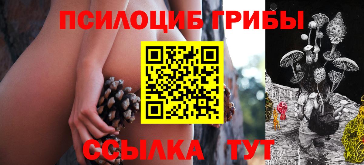 Галлюциногенные грибы мицелий Белебей